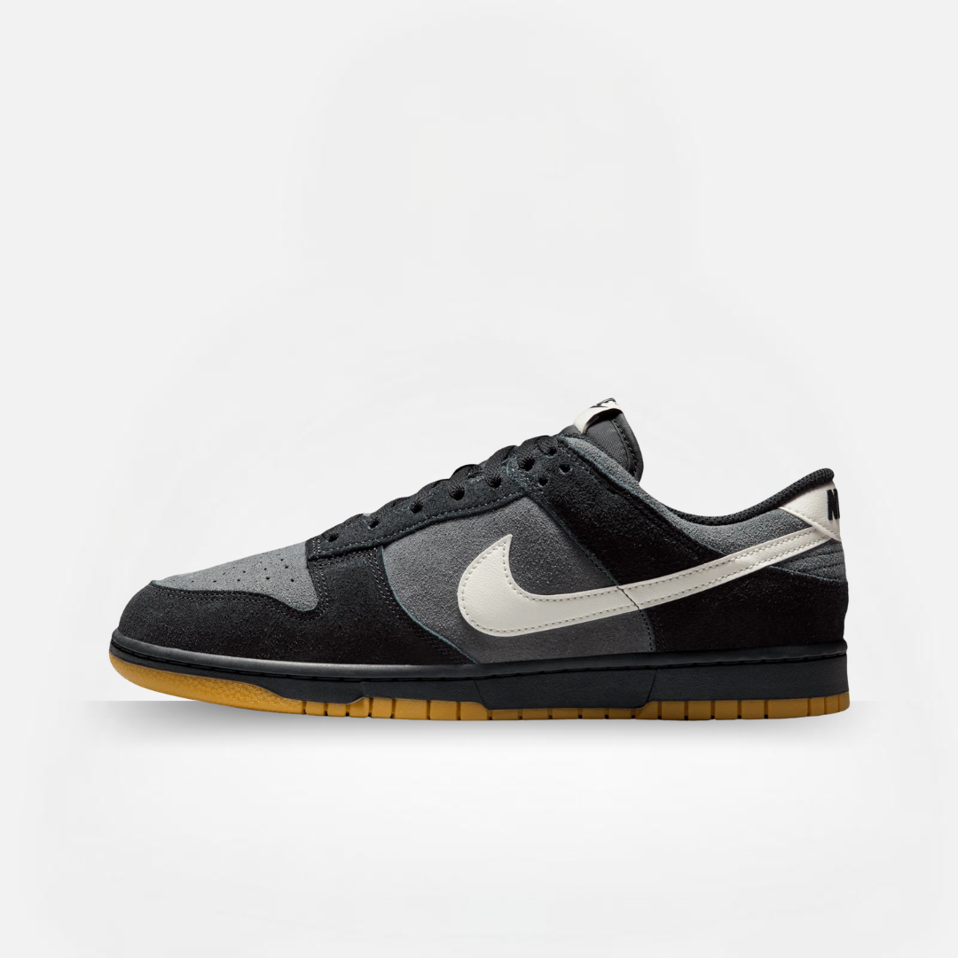 NIKE DUNK LOW SE PRO ANTHRACITE GUM